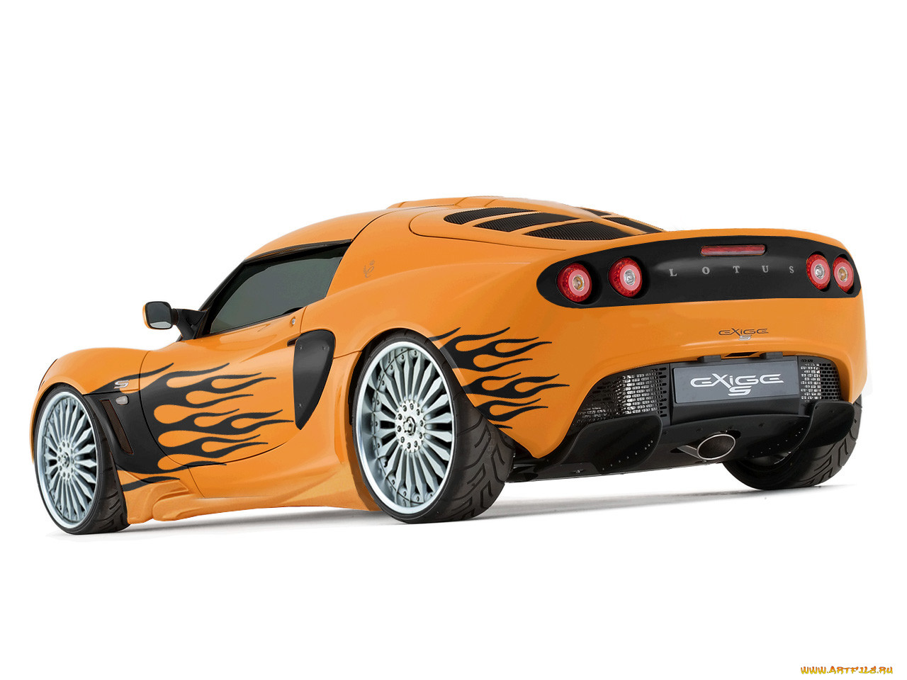 , lotus